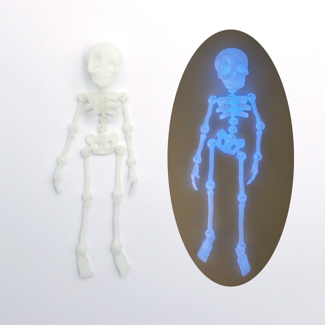 3D printed skull creative refrigerator magnet