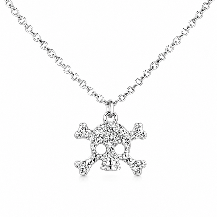 Punk Skull Pendant Necklace Earring Kit
